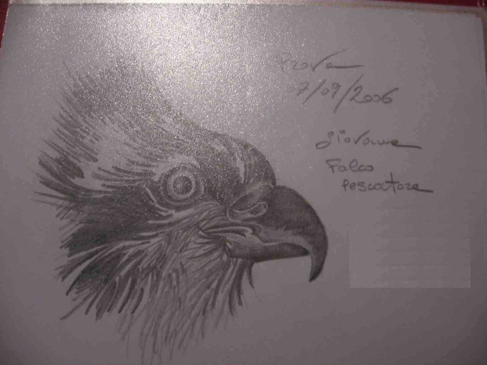 altri disegni di animali